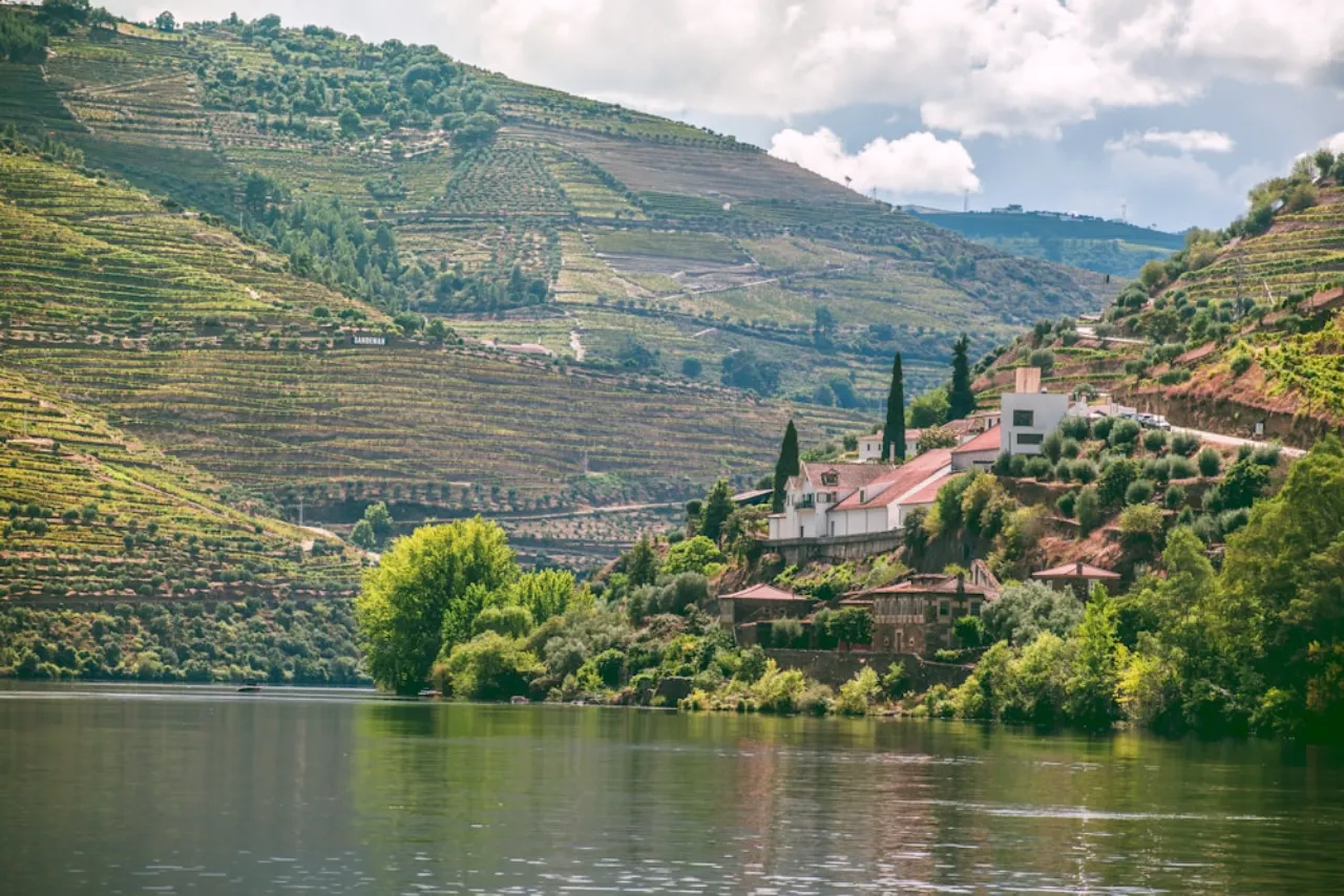 Riverside terraced vineyards and hillside village
